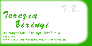 terezia birinyi business card